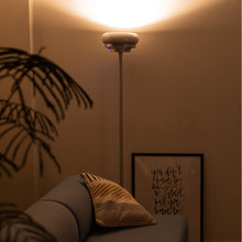 画像をギャラリービューアに読み込む, 【特別キャンペーン中】癒しを演出する除菌脱臭機<br>QAIS-air- 03<br>+スタンドライト〈セット〉